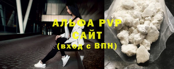прущие грибы Белокуриха