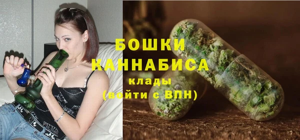 прущие грибы Белокуриха