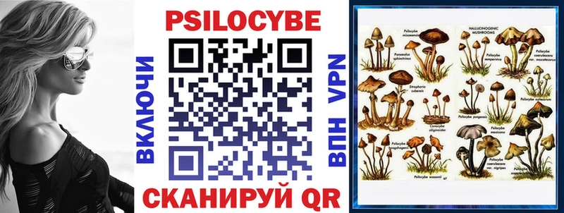 Псилоцибиновые грибы прущие грибы  продажа наркотиков  Михайловск 